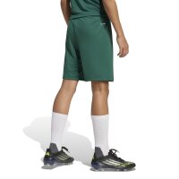 adidas Entrada 26 Shorts Kinder - team dark green/white