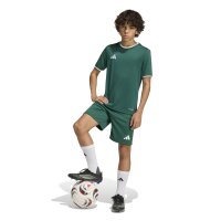 adidas Entrada 26 Shorts Kinder - team dark green/white
