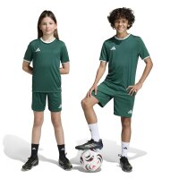 adidas Entrada 26 Shorts Kinder - team dark green/white