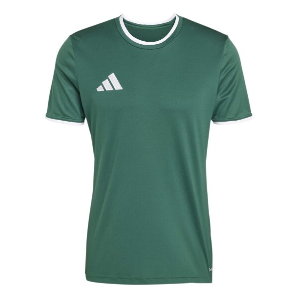 adidas Entrada 26 Trikot Herren - team dark green/white