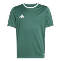 adidas Entrada 26 Trikot Kinder - team dark green/white