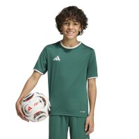 adidas Entrada 26 Trikot Kinder - team dark green/white