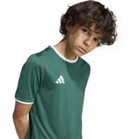 adidas Entrada 26 Trikot Kinder - team dark green/white