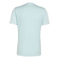 adidas Entrada 26 Trikot Herren - halo mint/white