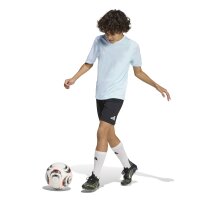 adidas Entrada 26 Trikot Kinder - halo mint/white