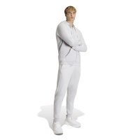adidas Entrada 26 Kapuzenjacke Herren - team light grey/white