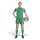 adidas Tiro 26 Liga Shorts Damen - team green/white