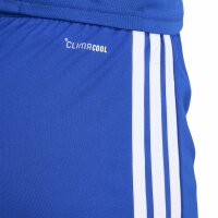 adidas Tiro 26 Liga Shorts Damen - team royal blue/white