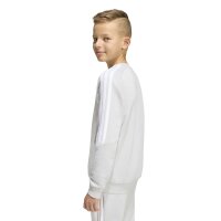 adidas Tiro 26 League Sweat Crew Kids Sweatshirt Kinder - team light grey/white
