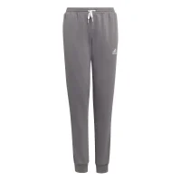 adidas Entrada 22 Jogginghose Kinder - grau