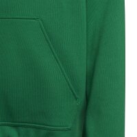 adidas Entrada 22 Hoodie Kinder - grün