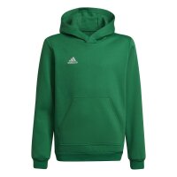 adidas Entrada 22 Hoodie Kinder - grün - 152