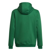 adidas Entrada 22 Hoodie Kinder - grün - 152
