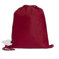 adidas Linear Sportbeutel - active maroon/white
