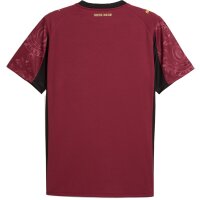 Puma Galatasaray Istanbul 3rd Trikot 25/26 Herren -...