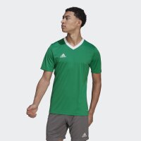 adidas Entrada 22 Trikot Herren - grün
