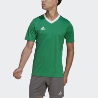 adidas Entrada 22 Trikot Herren - grün