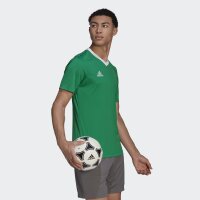 adidas Entrada 22 Trikot Herren - grün