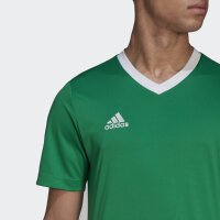 adidas Entrada 22 Trikot Herren - grün