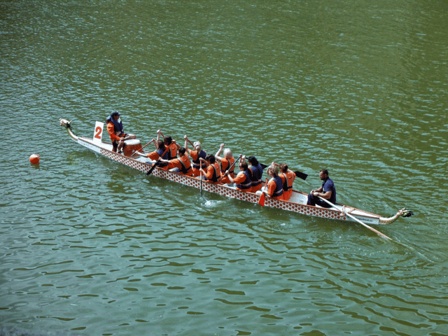 rowing-team-891758_12801.png