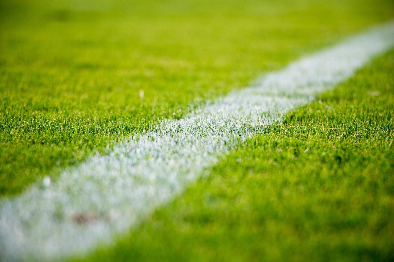 grass-2616911_12801.jpg