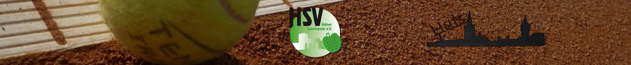 Kategoriebanner_HlserSV_Skyline.jpg
