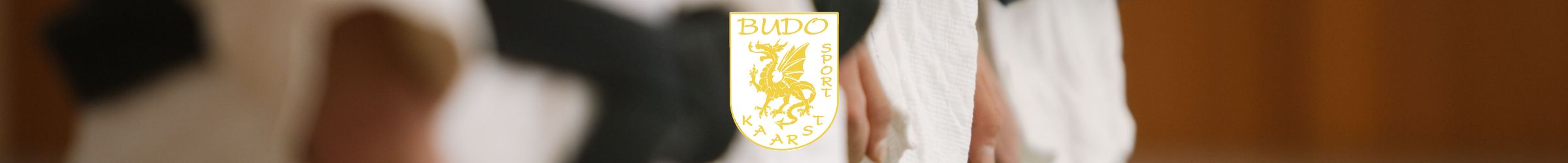 Landingpage_BudoSports.jpg