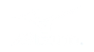 mizuno.png