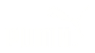 puma.png