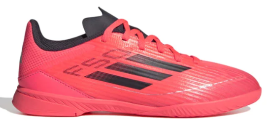 RoteHallenschuhe.png