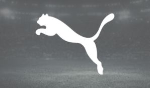 puma.jpg