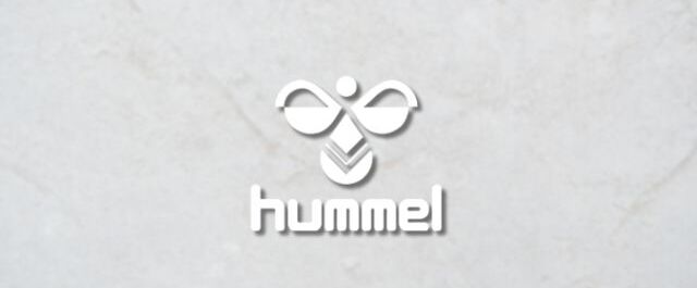 banner_hummel1.jpg