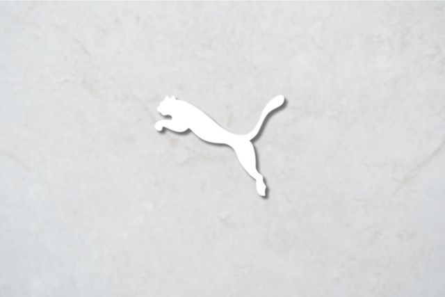 banner_puma.jpg